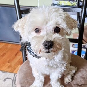 Meet your Posher, Courtney